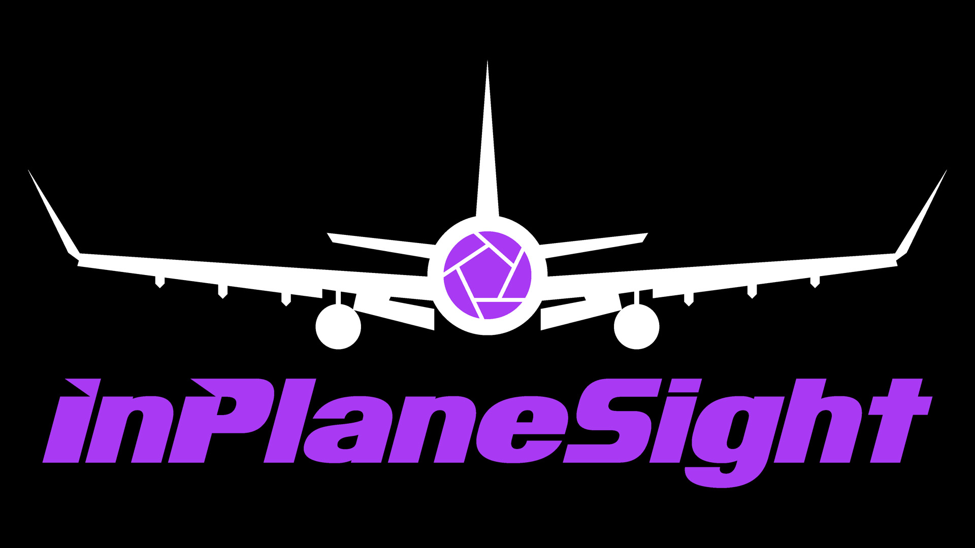 InPlaneSight Logo